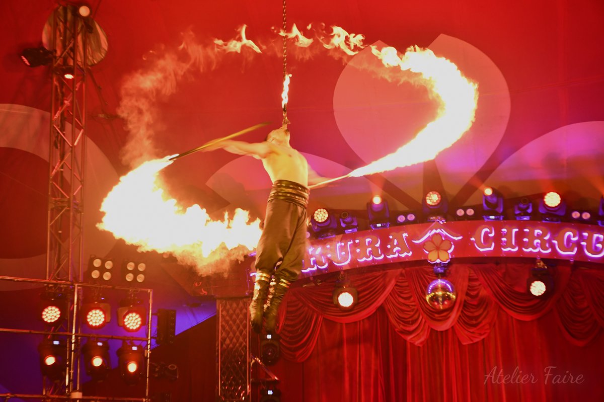AtelierFaire's tweet photo. 奈良市平城宮跡の #さくらサーカス 行ってきました
ステージとの距離も近く迫力満点
おすすめチケットはA席😊
早めに並んで正面前列をとればピエロが来てくれます
夜のライトアップもきれい
お早めに

裏技やお得情報など #詳しくはブログで 
 
#奈良 
#カメラ女子 
#atelierfaire
#アトリエフェール https://t.co/2EAPv4u4Ok