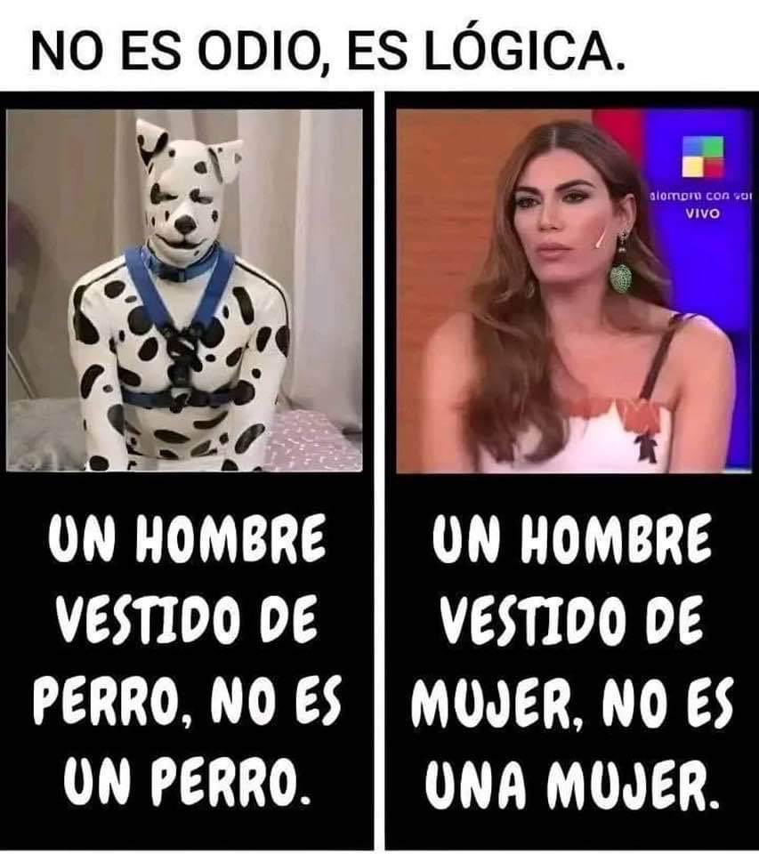 Rocío Infante (@rocioinfantesb) on Twitter photo 