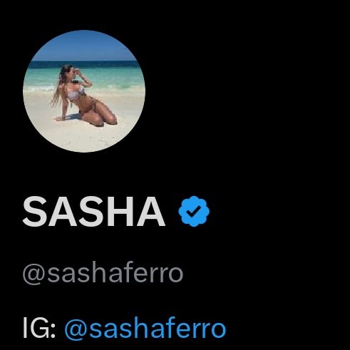 El otro día pensé que Sasha Ferro había hecho un tweet sobre la CIA