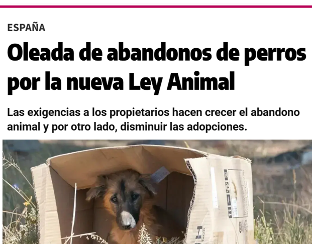 -Hicieron una ley de vivienda y nunca han subido tanto los alquileres.

-Hicieron una ley para proteger a las mujeres y nunca ha habido tantas violaciones.

-Hicieron una ley para proteger a los animales y nunca ha habido tantos abandonos.

Disfruta lo votado.