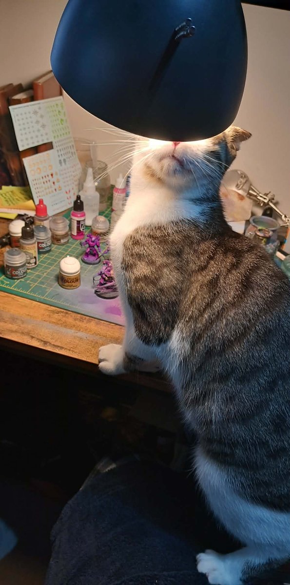 Alex Harkin tweet media