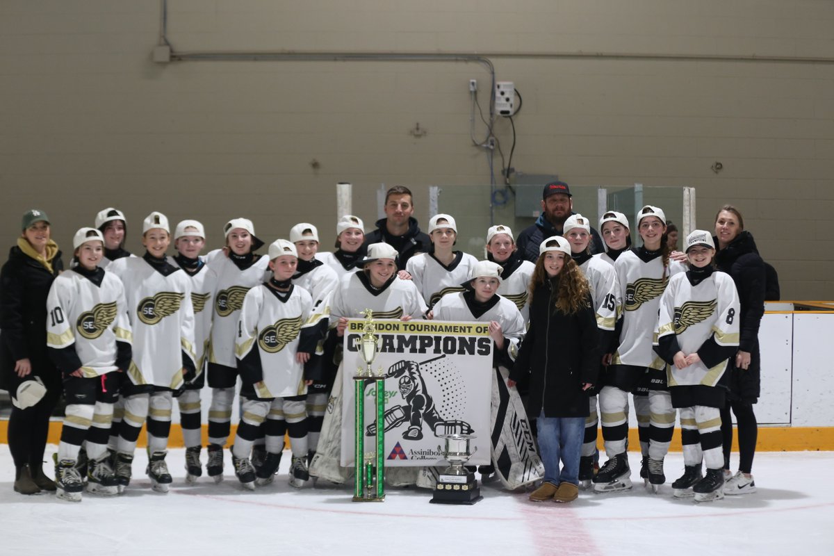 Brandon ToC tweet media