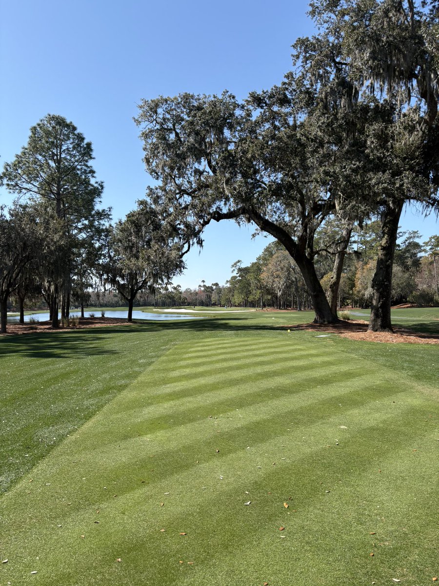 LilRabbitBD's tweet photo. Will always be one of my favorites. #sawgrass https://t.co/O1mfYRdmXl