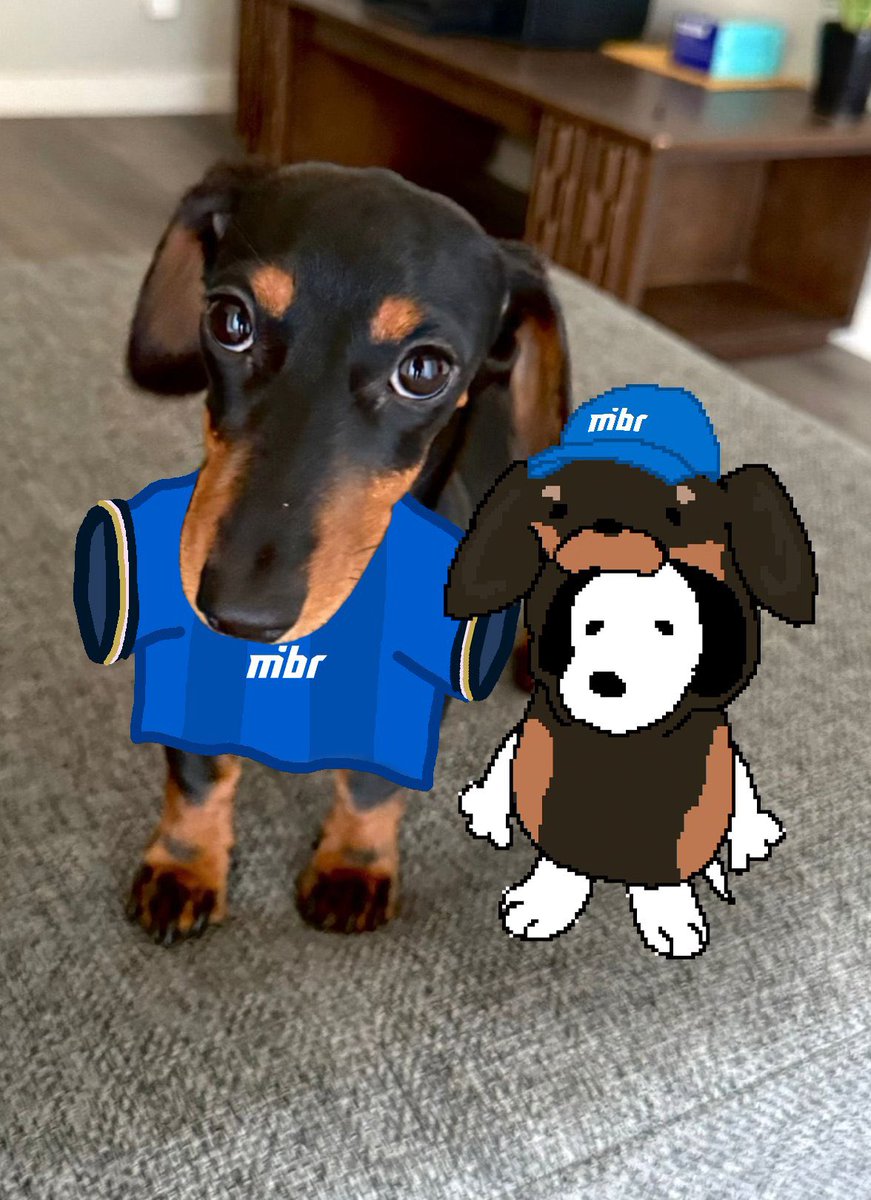 Lee Shin tweet media