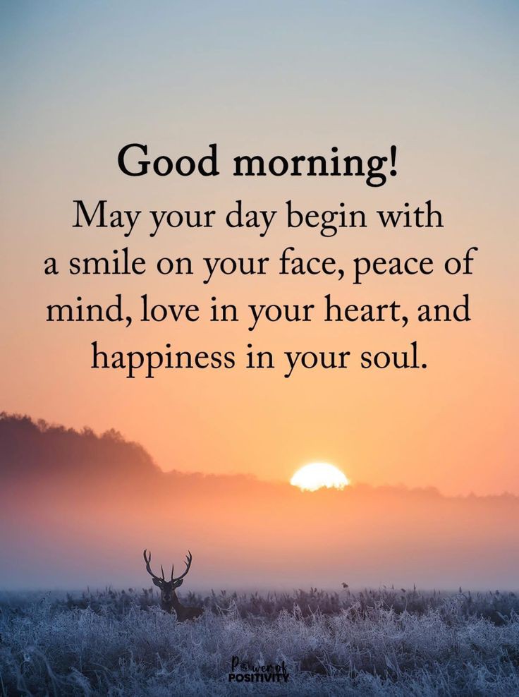 Good Morning 🌅
May your day begin with a peaceful mind, a loving heart, and the courage to chase your dreams. Embrace the new sunrise with hope. ✨🤍