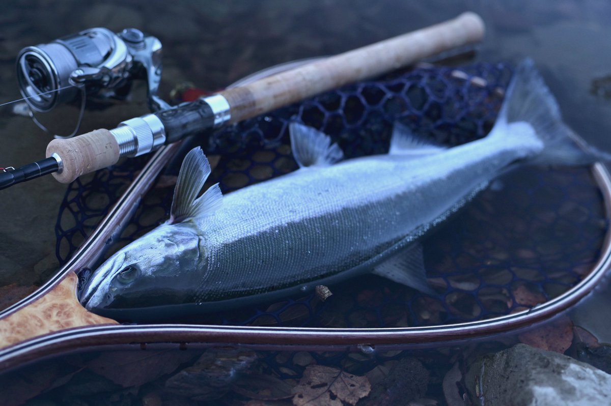 107tsuritai's tweet photo. おはようございます🎣 https://t.co/Jr1gxq9gDN