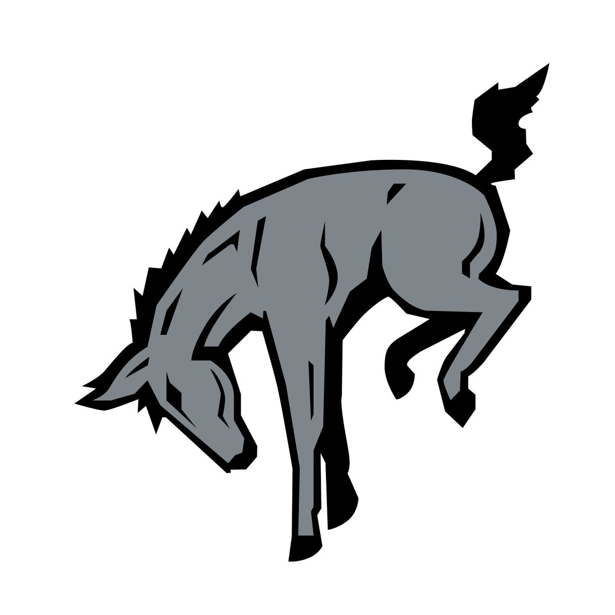 Muhlenberg Football tweet media