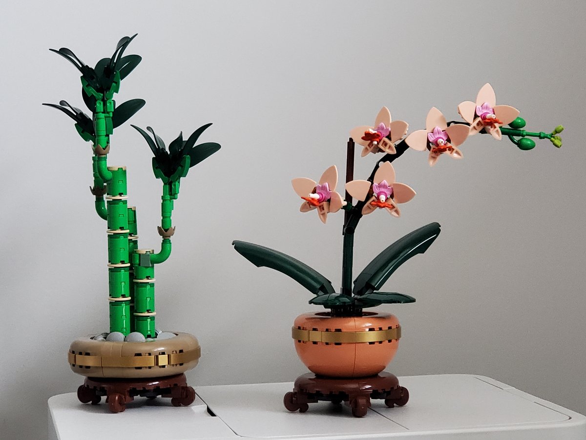 DreTheMoose tweet media