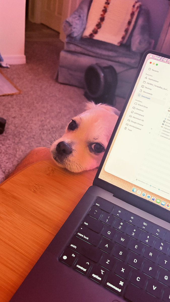 Dad let’s play.  Get off this computer now please.