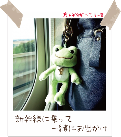 かえるのピクルス/pickles the frog (@picklesthefrog6) / Posts / X