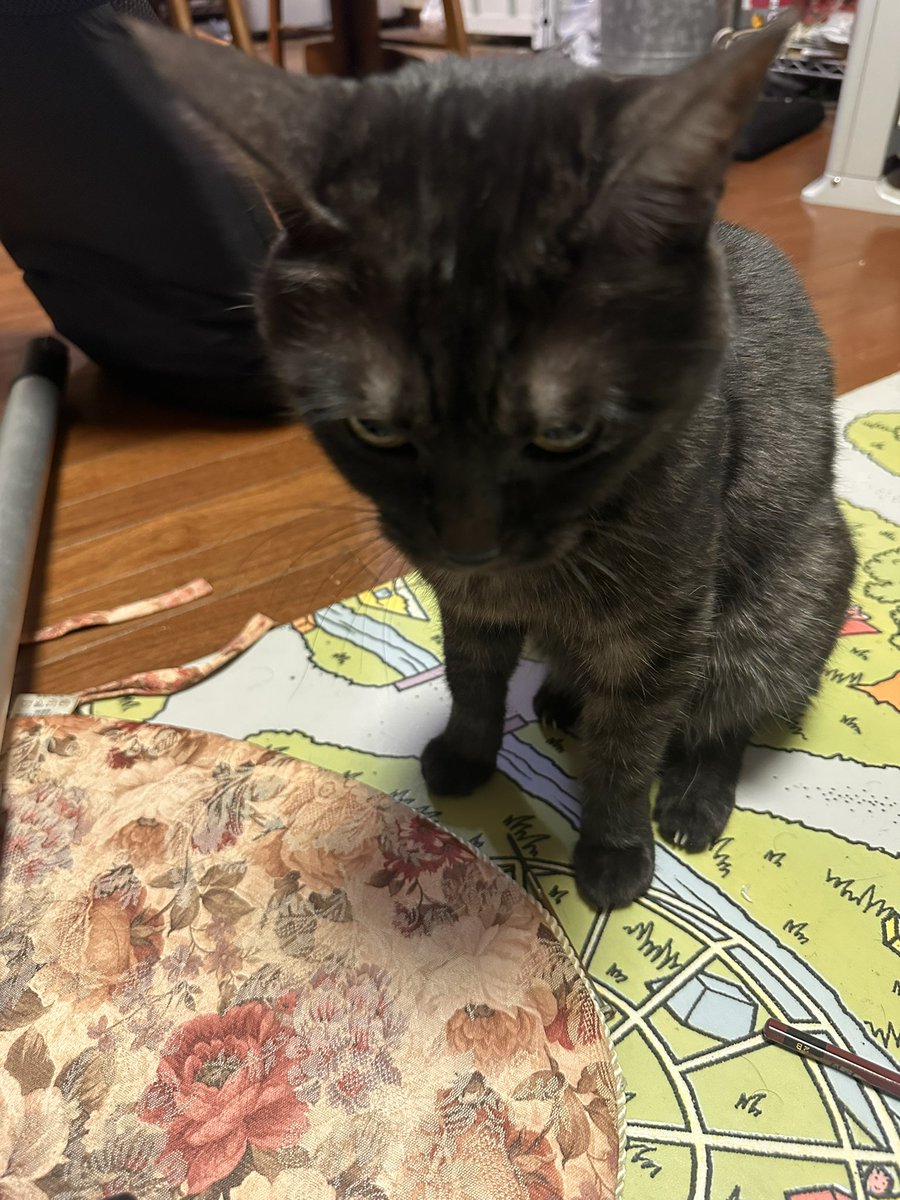 おあおうおざいやす