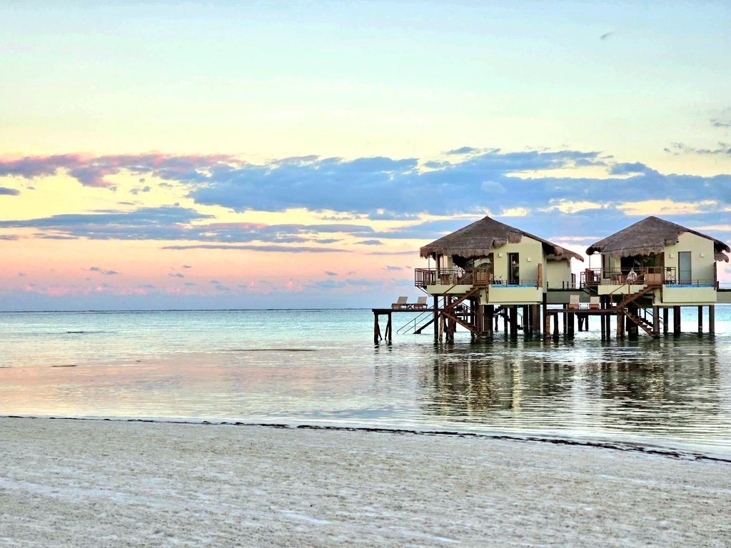 julie 💭 tweet media