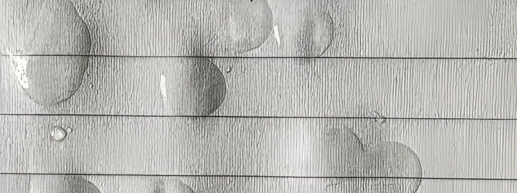 صالح tweet media