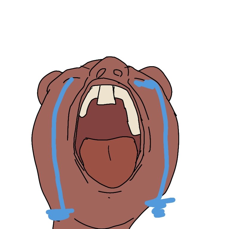 Sush_Ink's tweet photo. @CABRINO_1219 NOOOOOOOOOOOOOOOOOOO https://t.co/Rw7hDPb2I4
