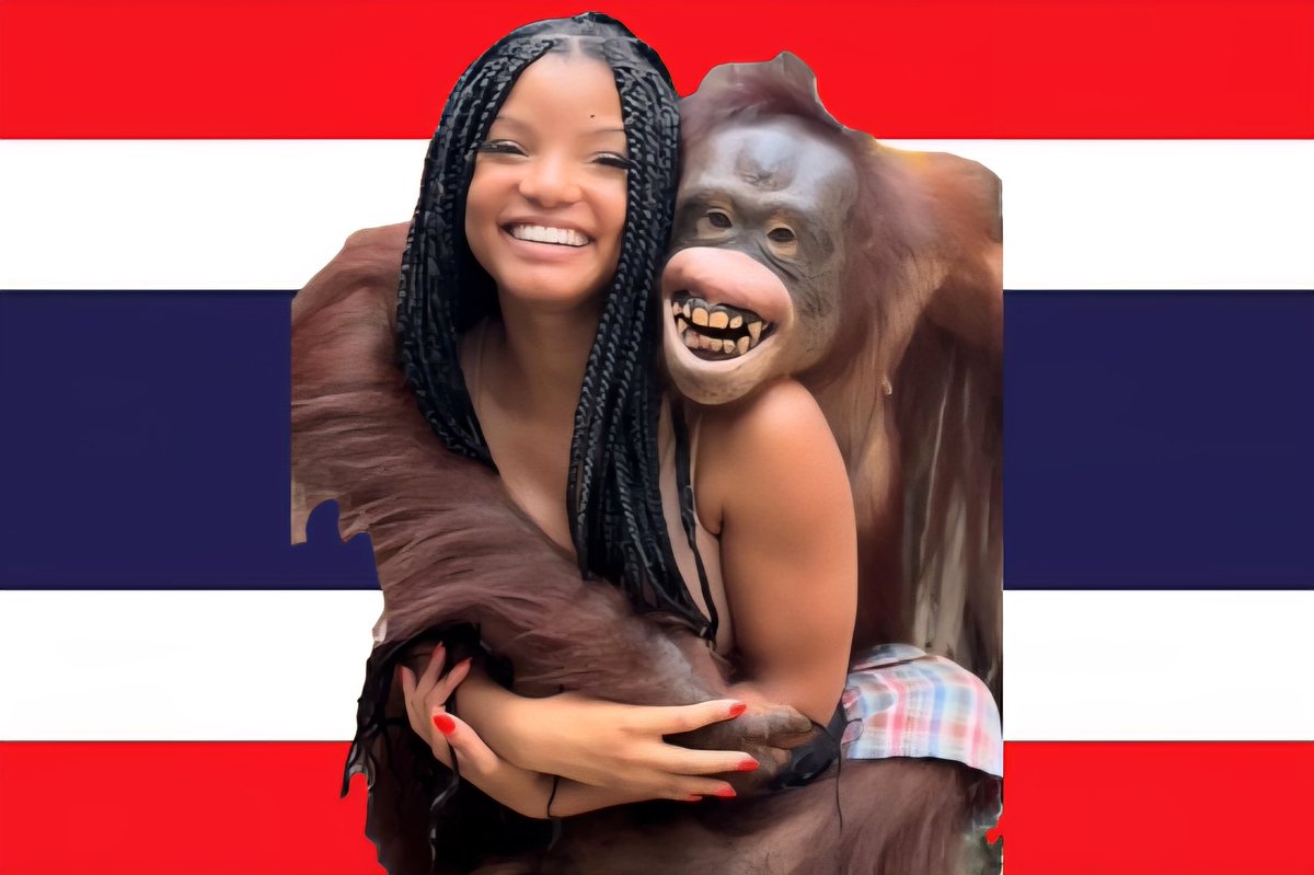 이또깡 tweet media