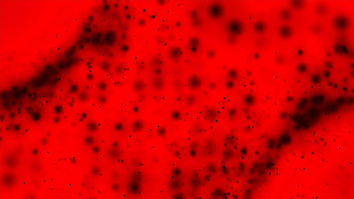 NewsMedical's tweet image. Can your diet help defend against microplastic-induced oxidative stress? 🧬🥦 New research spotlights nutrients that may activate the body's stress resilience - but stronger human trials are needed.  news-medical.net/news/20260215/… #Microplastics #Nutrition #Health @Nutrients_MDPI