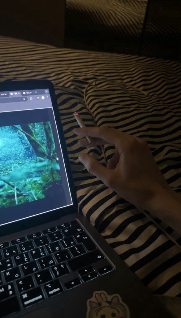 ⃟⃟⃟ tweet media