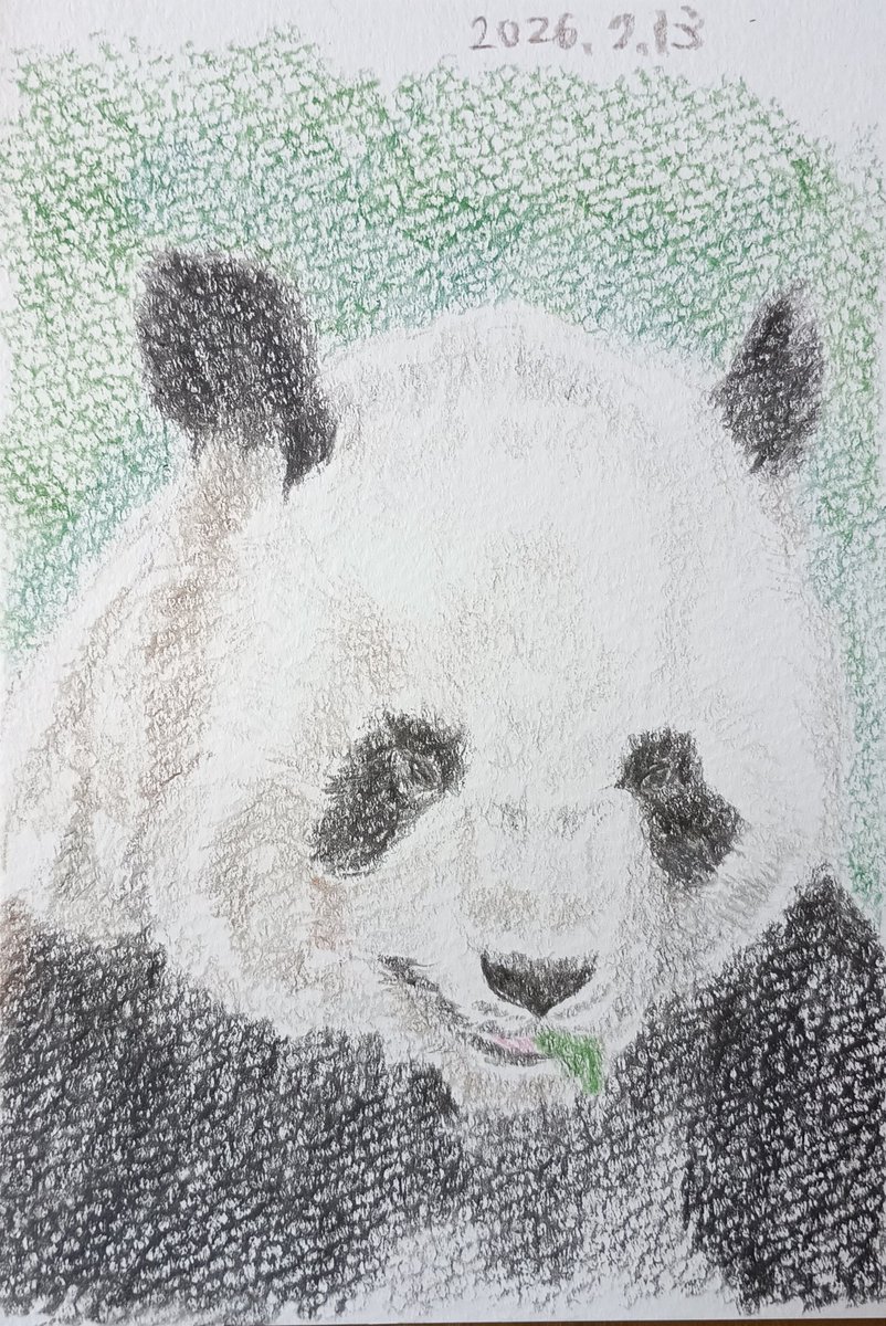 私はこういう絵を描いています パンダとか、オリジナルぬいぐるみとか