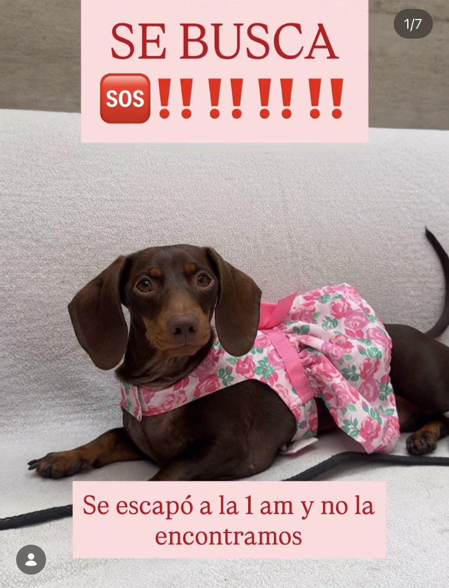 BCUORE 💚 tweet media