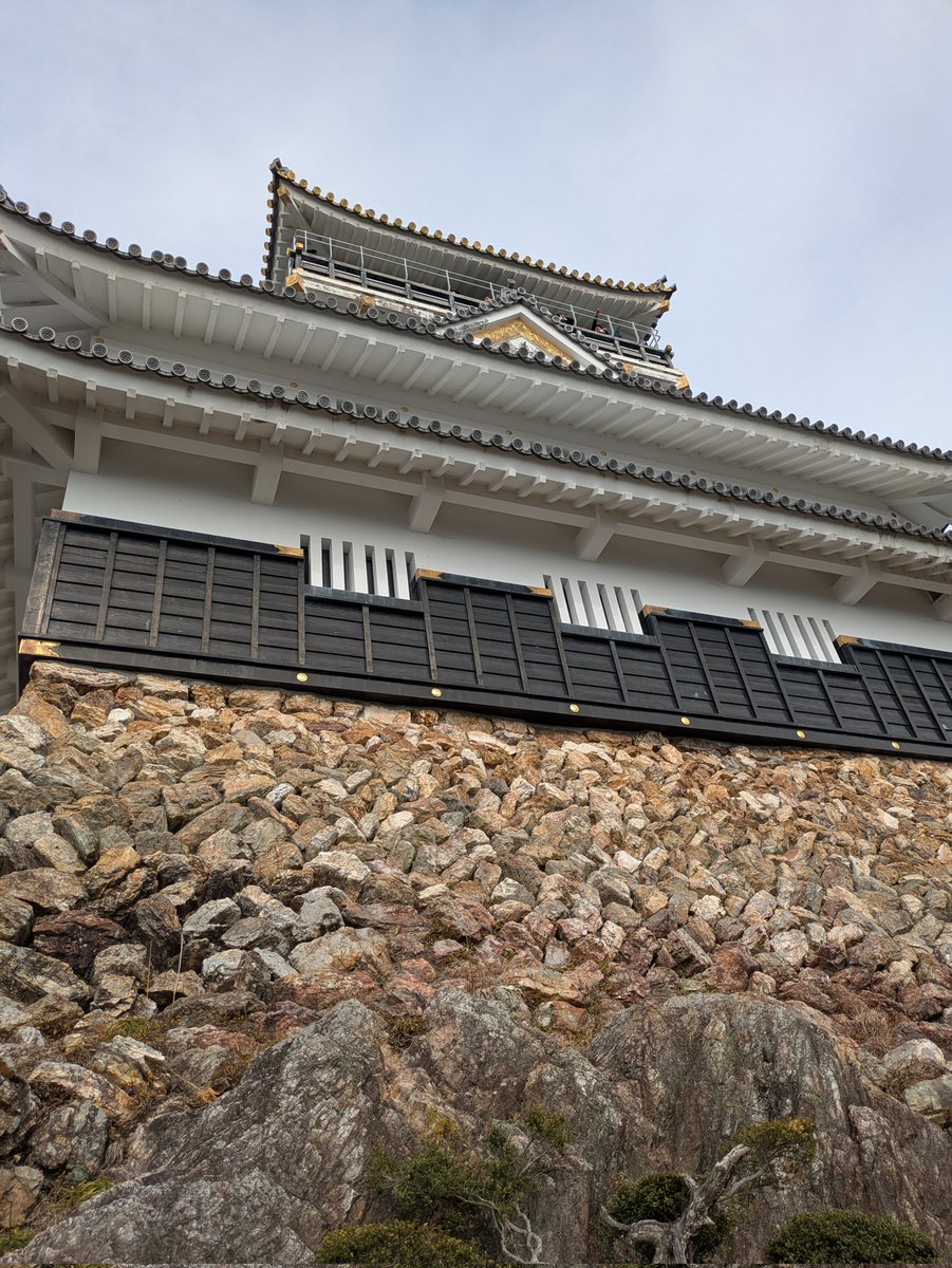 7年ぶり位に岐阜城へ。

石垣みならがら(≖͈́ㅂ≖͈̀ )ﾆﾔﾆﾔしたり、
ここから登ったら、行ける？秒で討死？
とか妄想しながら🏯を見る人です