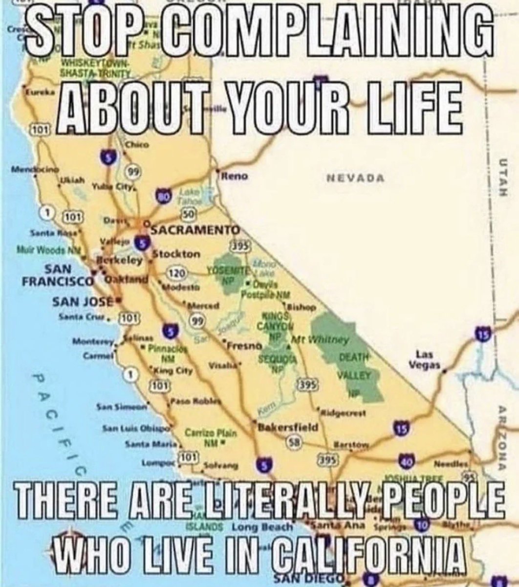 Steve 🇺🇸 (@stevelovesammo) on Twitter photo 