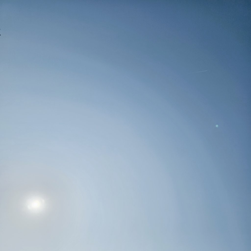 おはようございます🌞
一気に暖かですね☺️
なんの写真か分からんくなりそうな
雲がない #イマソラ です

月曜日や……
やる気スイッチはまだONにならない…
みんなで乗り切りましょ😫
 #企業公式が毎朝地元の天気を言い合う
 #企業公式相互フォロー祭り 
 #企業公式さんと繋がりたい