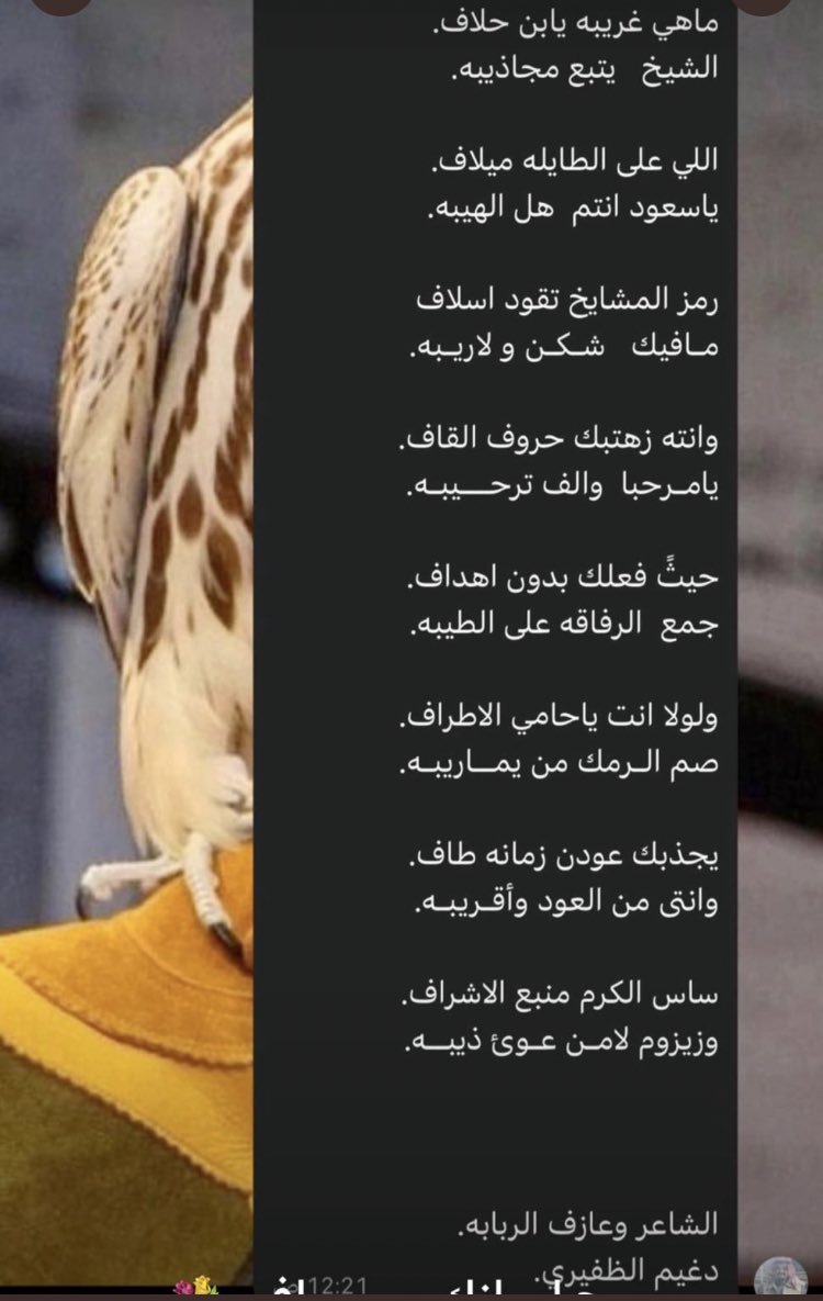 قبيلة السعيد tweet media