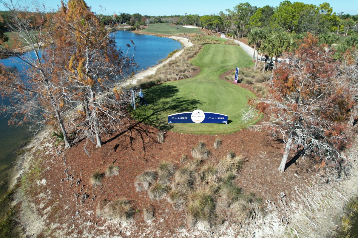 Tim Connolly CGCS tweet media