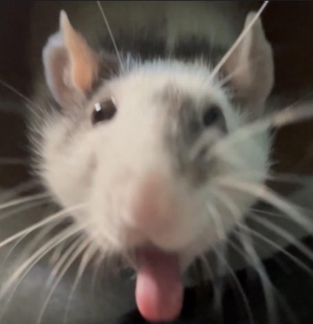 TheTimerPlays's tweet photo. @qiandailyy 🧎‍♂️‍➡️PLEASEPLEASEPLEASEPLEASEPLEASEPLEASEPLEASEPLEASEPLEASEPLEASEPLEASEPLEASEPLEASEPLEASEPLEASEPLEASEPLEASEPLEASEPLEASEPLEASEPLEASEPLEASEPLEASEPLEASEPLEASEPLEASEPLEASEPLEASEPLEASEPLEASEPLEASEPLEASEPLEASEPLEASEPLEASEPLEASEPLEASEPLEASEPLEASEPLEASEPLEASEPLEASEPLEASEPLEASE🙏 https://t.co/wq8QAkRD8f