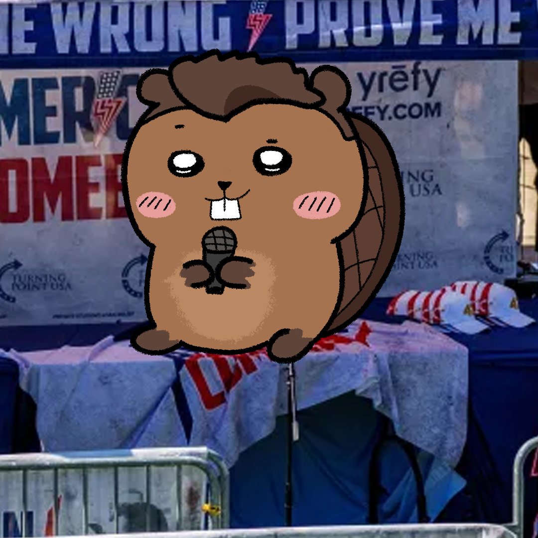 Spangle Dangle tweet media