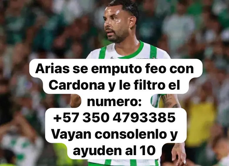 Can Celado tweet media