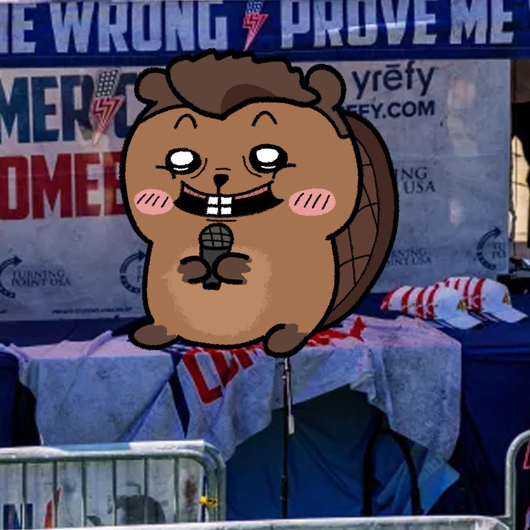 Spangle Dangle tweet media