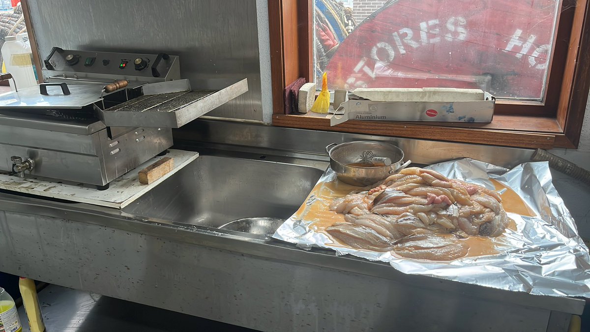 Dirk X 🐟 BRA7 tweet media