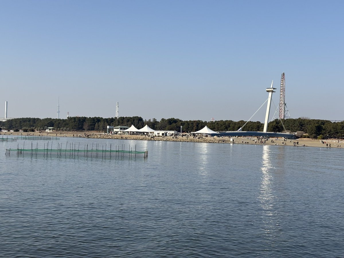 pentaro2010's tweet photo. 昨日は暖かかった！野鳥観察・撮影に谷津干潟と葛西臨海公園に行ったのですが、陽炎で遠景が揺らいで見えました。
2026年2月15日 千葉県 https://t.co/pyBKN0AIKV