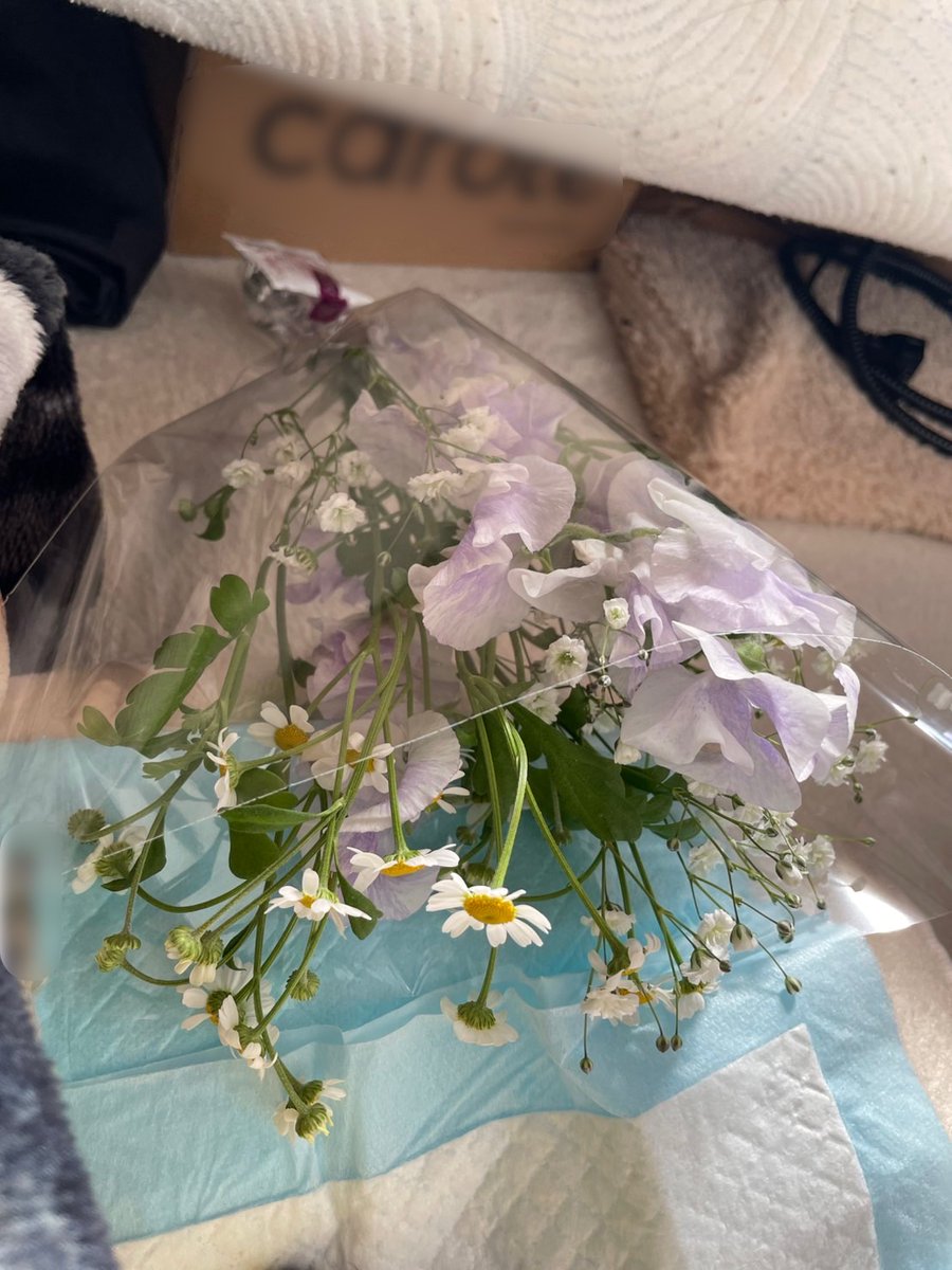 aithink1972's tweet photo. おはようございます☀️

実は先週、��ちの愛犬が虹の橋を渡ってしまったのですが、家族全員で見送ることができました。

写真や動画を見返したのですが、可愛面白いものがほとんどで、家族の笑顔の中心だったなぁと思います。🐶

本日もご安全に🫡

＃企業公式相互フォロー ＃松本市 ＃アイシンク https://t.co/3e3oH9l7RK