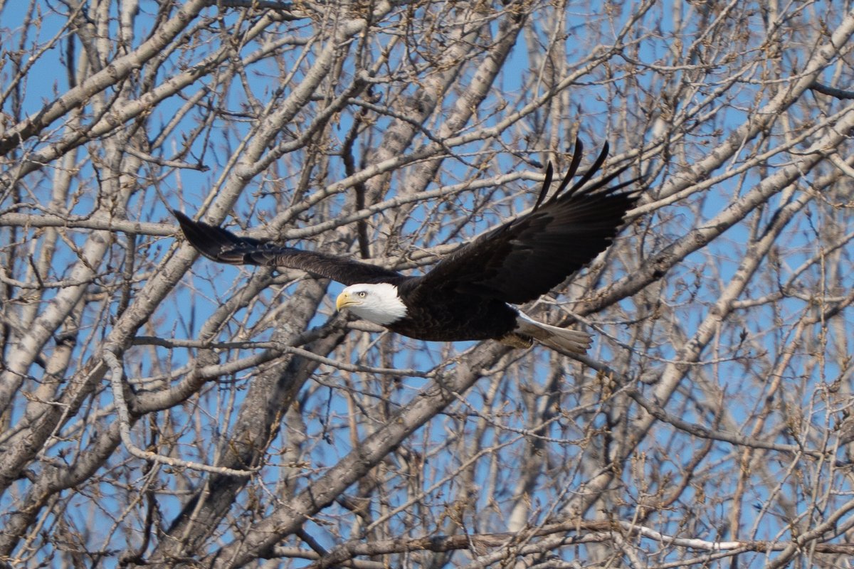 Clod ⛏️ tweet media