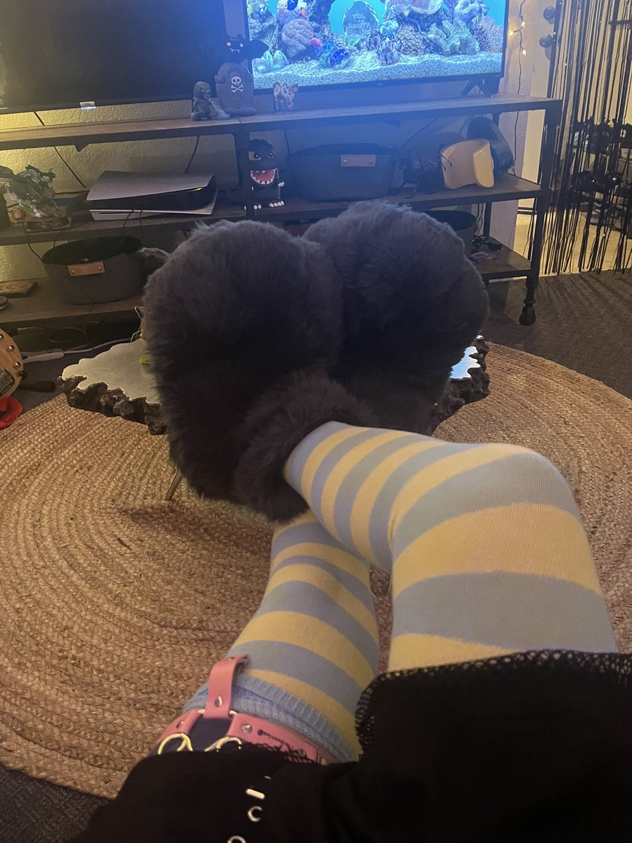 Literally just ask me anytime

I want to step on many people at AC this summer :3c