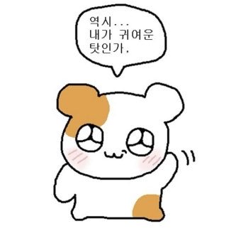 몽령+ tweet media