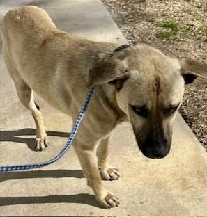 Donna Lac tweet media