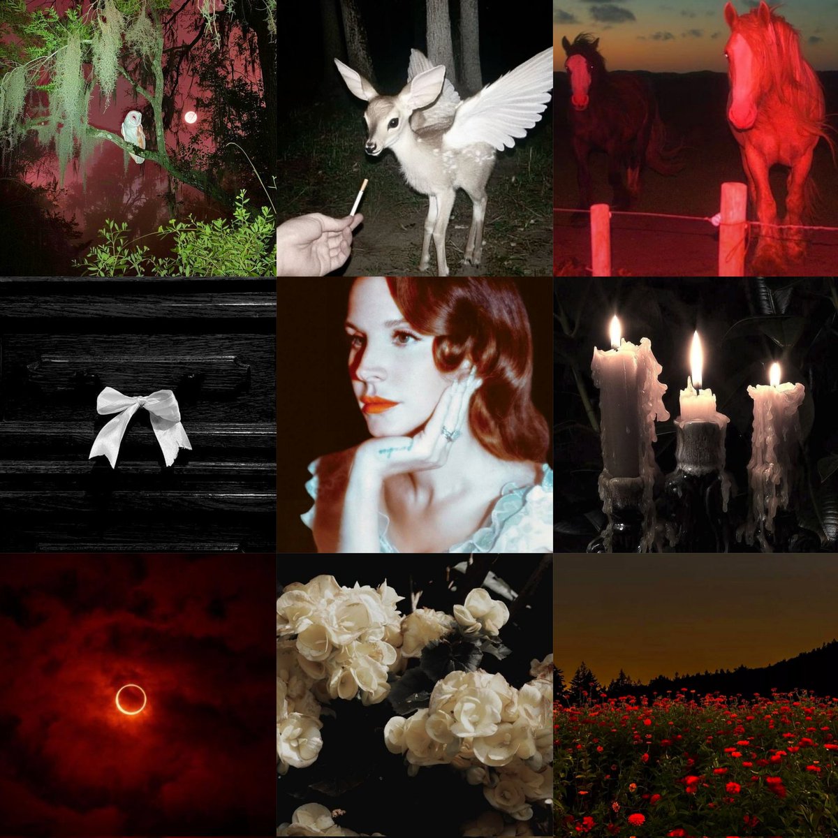 cinnamndn's tweet photo. Lana Del Rey - white feather hawk tail deer hunter 🦌🌕🪄 https://t.co/JYtNwLABi6