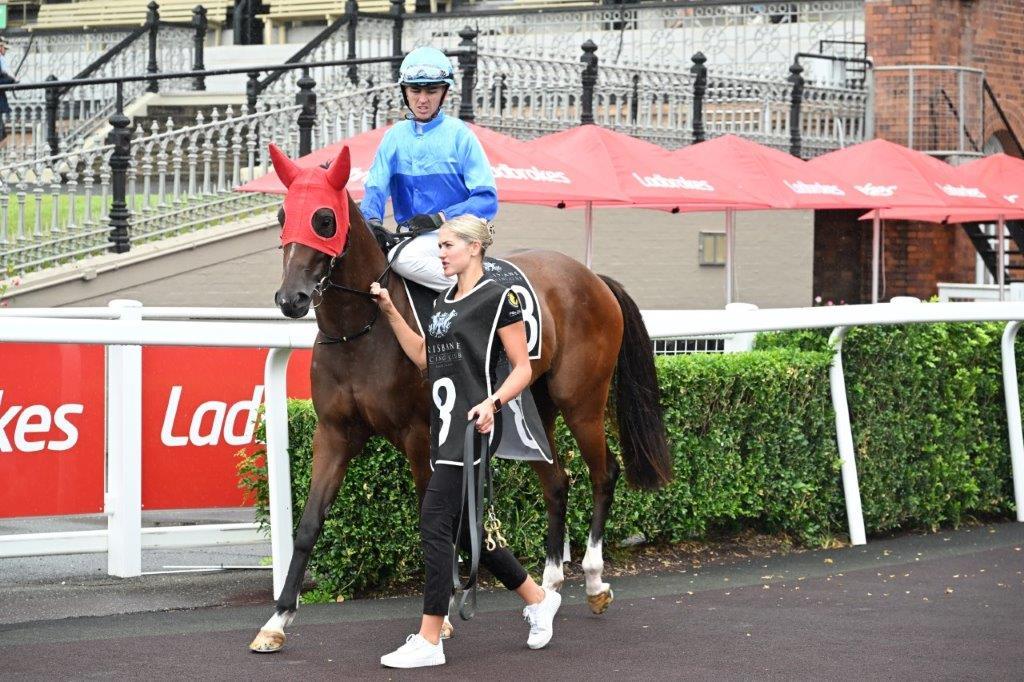 tonygollan's tweet photo. 💥TRACKSIDE WINNER OF THE WEEK 💥
Our #WinnerOfTheWeek presented by Trackside Photography is Pembrey.
Pembrey won the 2YO Hcp over 1000m by 5.5L at Eagle Farm on Saturday ridden by Ben Thompson & strapped by Danika Wilson. https://t.co/6HZ2uN5MBn