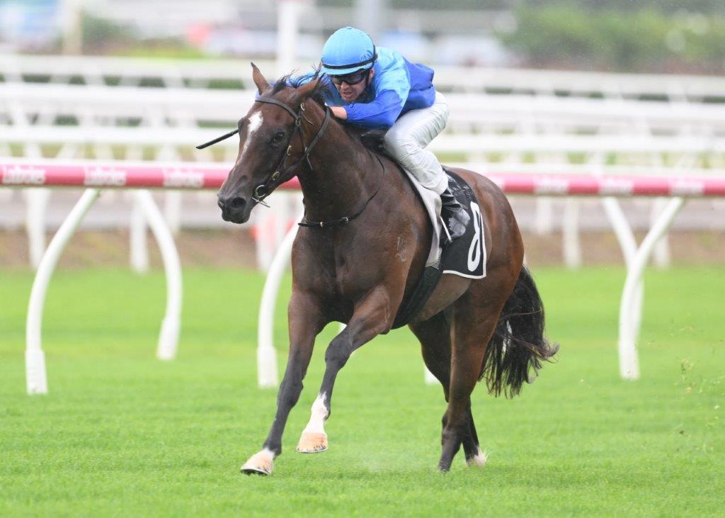 tonygollan's tweet photo. 💥TRACKSIDE WINNER OF THE WEEK 💥
Our #WinnerOfTheWeek presented by Trackside Photography is Pembrey.
Pembrey won the 2YO Hcp over 1000m by 5.5L at Eagle Farm on Saturday ridden by Ben Thompson & strapped by Danika Wilson. https://t.co/6HZ2uN5MBn