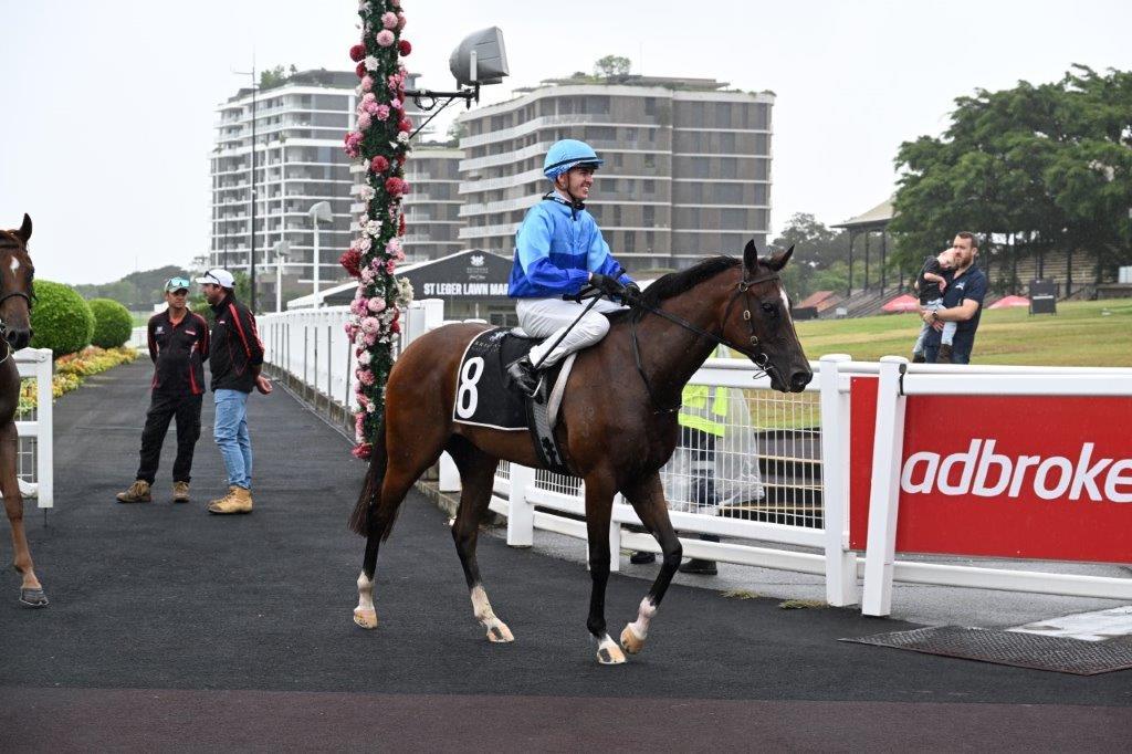 tonygollan's tweet photo. 💥TRACKSIDE WINNER OF THE WEEK 💥
Our #WinnerOfTheWeek presented by Trackside Photography is Pembrey.
Pembrey won the 2YO Hcp over 1000m by 5.5L at Eagle Farm on Saturday ridden by Ben Thompson & strapped by Danika Wilson. https://t.co/6HZ2uN5MBn
