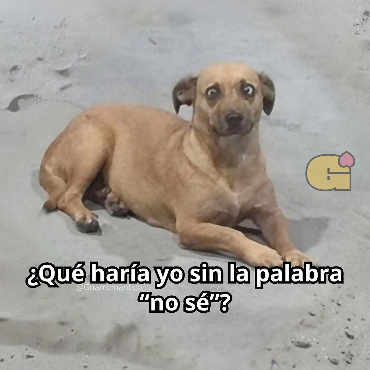 Quien sabe.