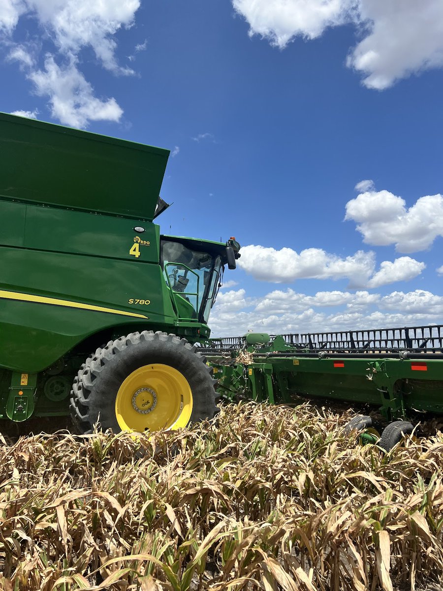 Primary Sales Aust. tweet media