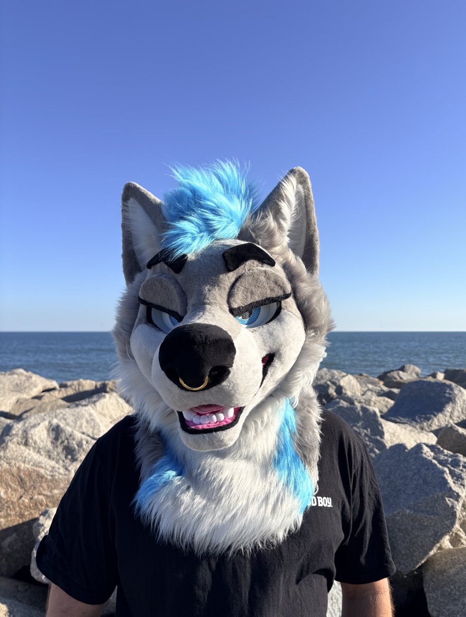 this wolp is sending out good vibes to everyone after a long valentines weekend 💕 stay pawsitive even when it’s tough!