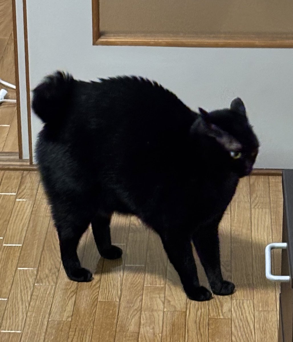 首…埋まってるね…？