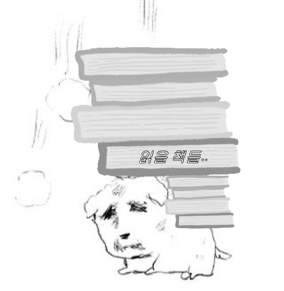 추구미와 현실