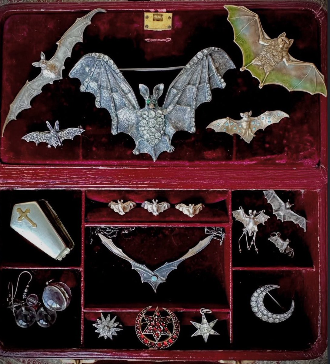 𝑙𝑖𝑡𝑡𝑙𝑒 𝑚𝑜𝑜𝑛 ⏾ tweet media