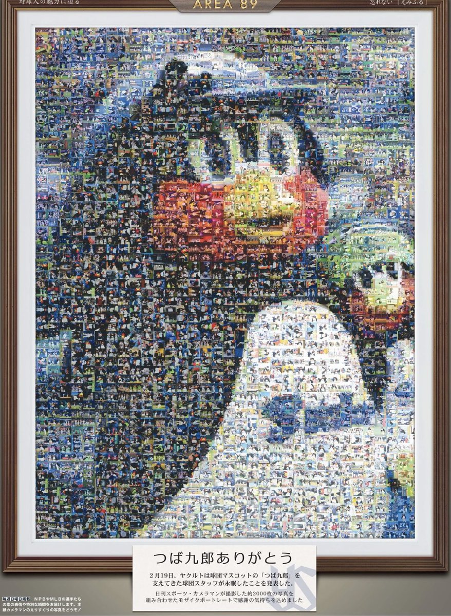 今、どこにいますか、つば九郎さん🐧 もうすぐ開幕🎌するから、大好き